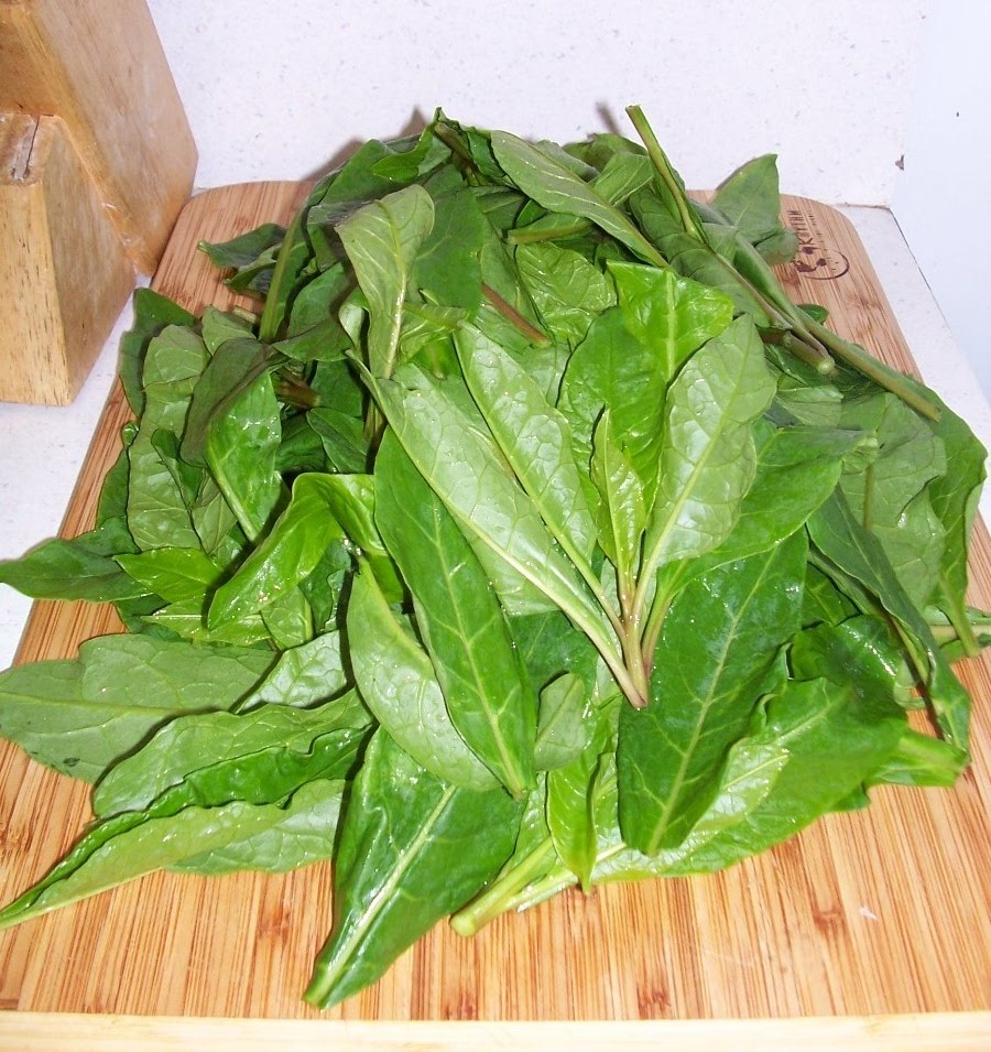 Working The Roots Over 400 Years of Traditional African American