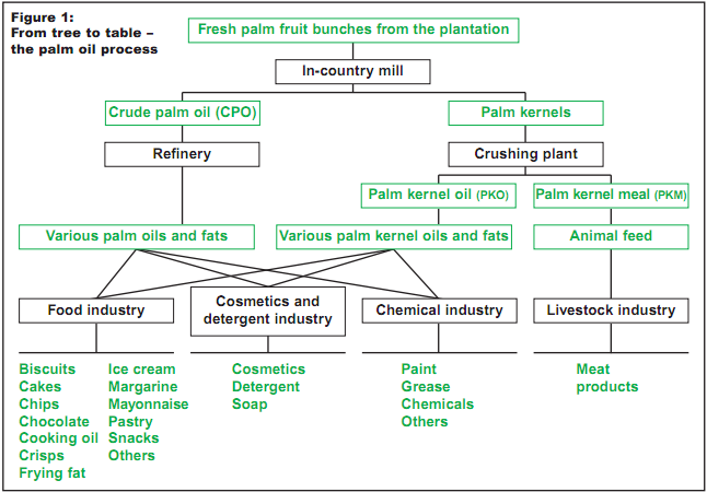Palm Oil Flow Chart