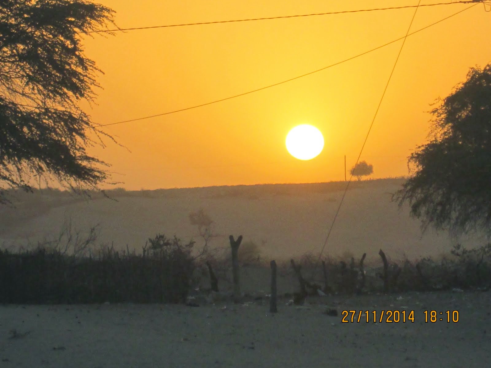 OCASO DEL ASTRO REY EN EL BOSQUE SECO DE LOCUTO