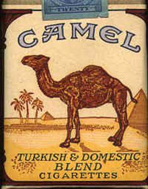 Camel Active im Angebot