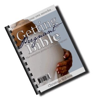 Getting Pregnant Bible