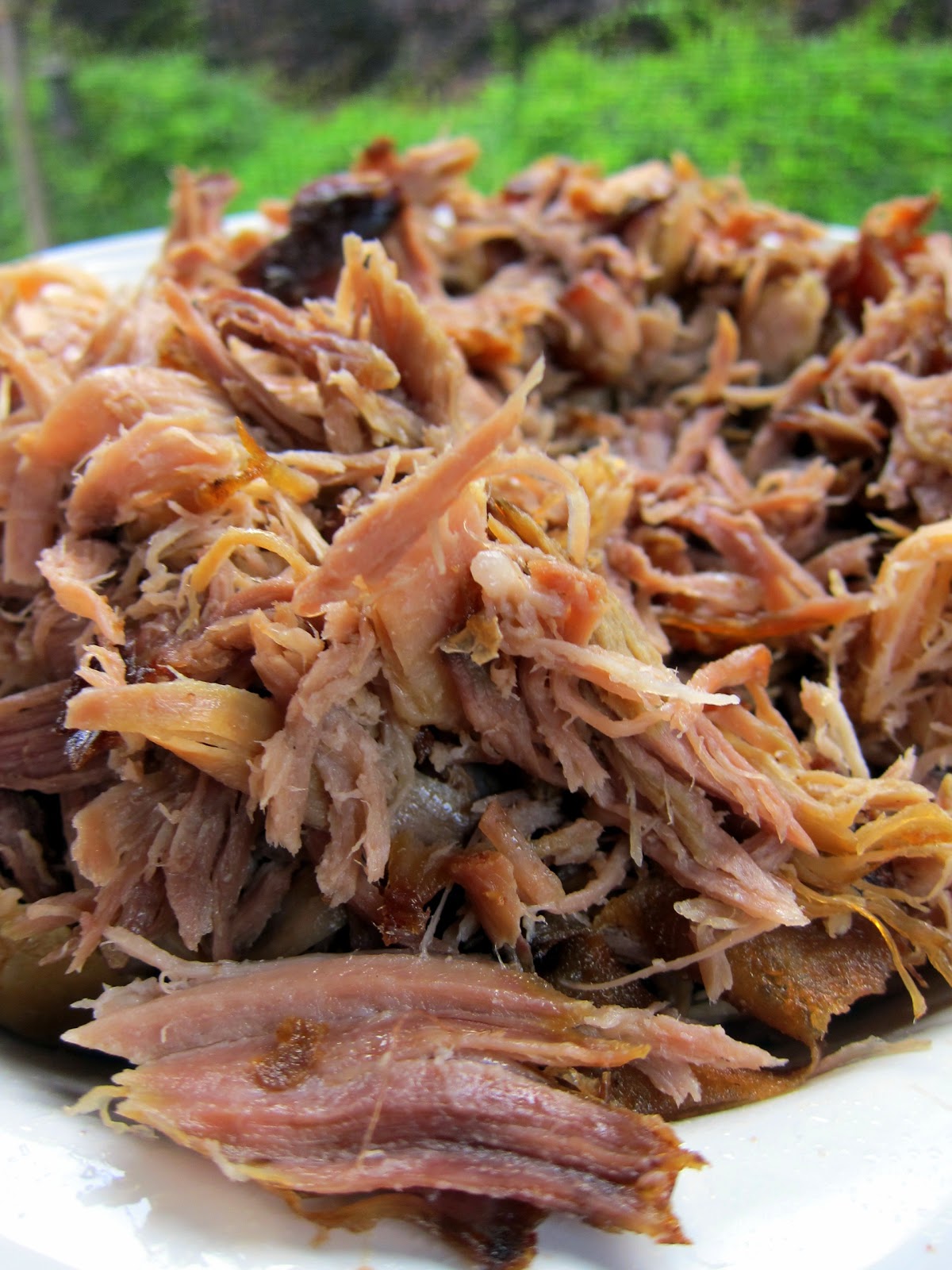 Kalua Pork {Slow Cooker} Plain Chicken