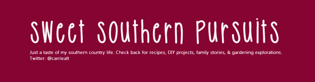 Sweet Southern Pursuits
