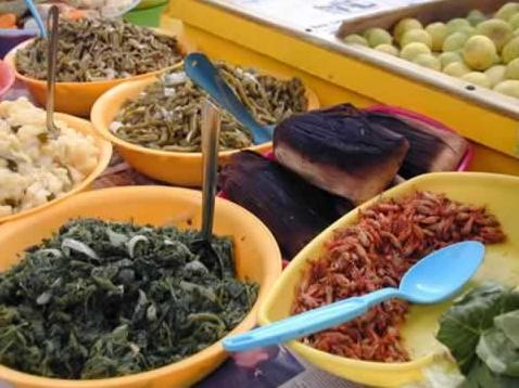 COMIDA CARACOL TIERRA comida caracol tierra: