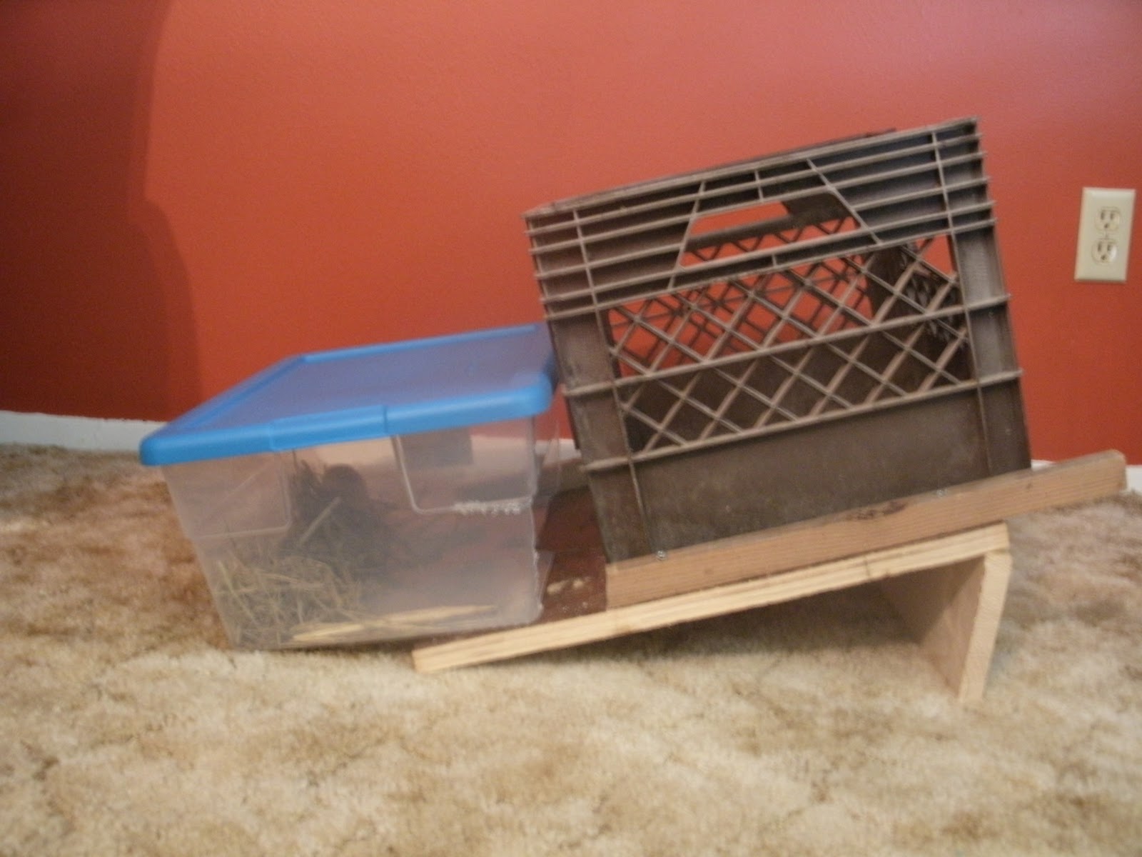 The Natural Blog "Automatic" Egg Collector