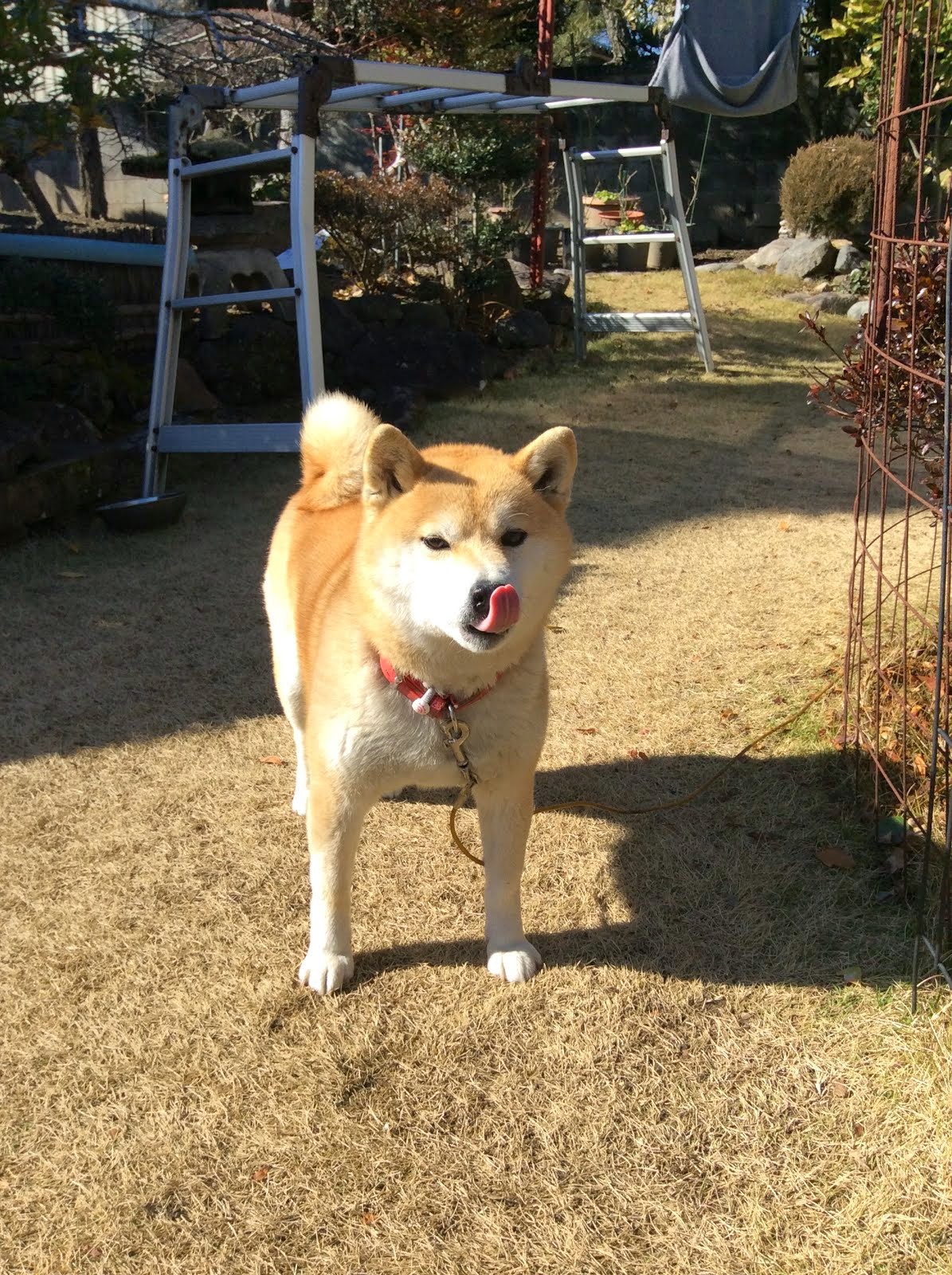 １月３０日　おやつ美味しかった！