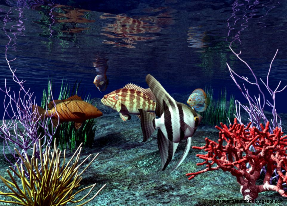 3D Live Wallpapers For Desktop live 3d wallpaper wallpaper 3D Live Wallpapers For Desktop live 3d wallpaper wallpaper