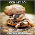 Cười hả hê với những hình ảnh hài hước