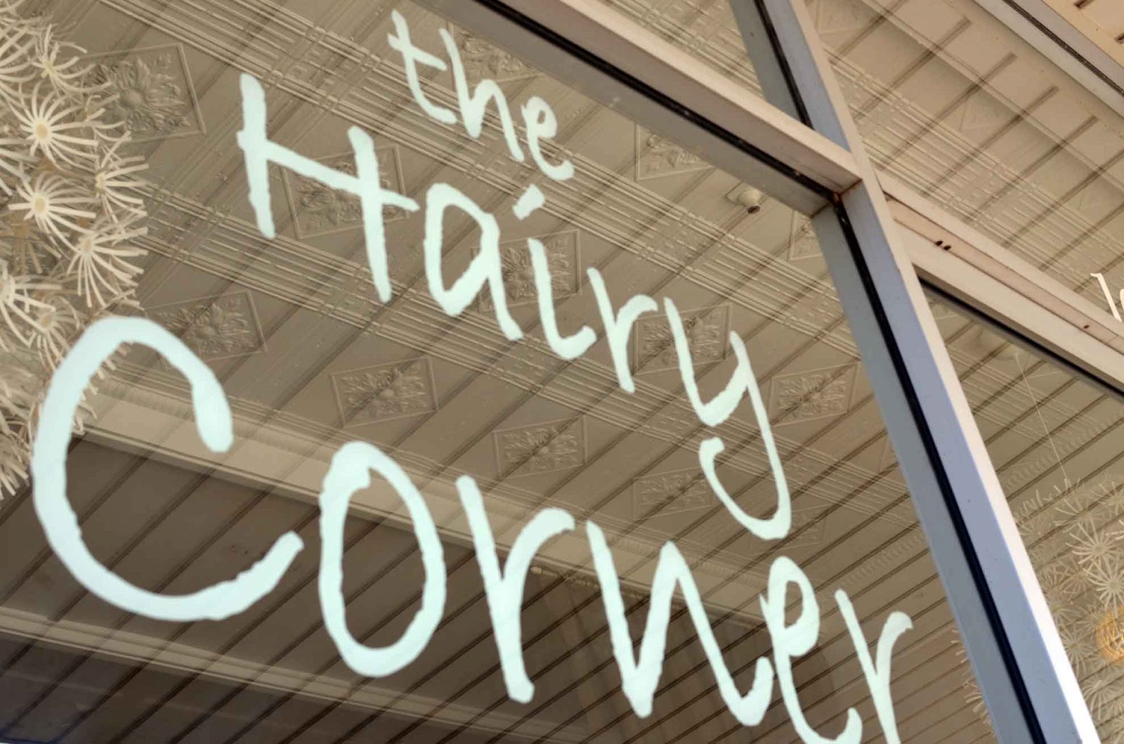 Hairy Corner