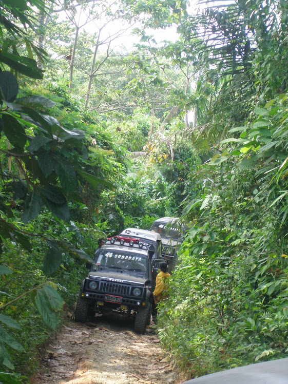 sukamade Banyuwangi