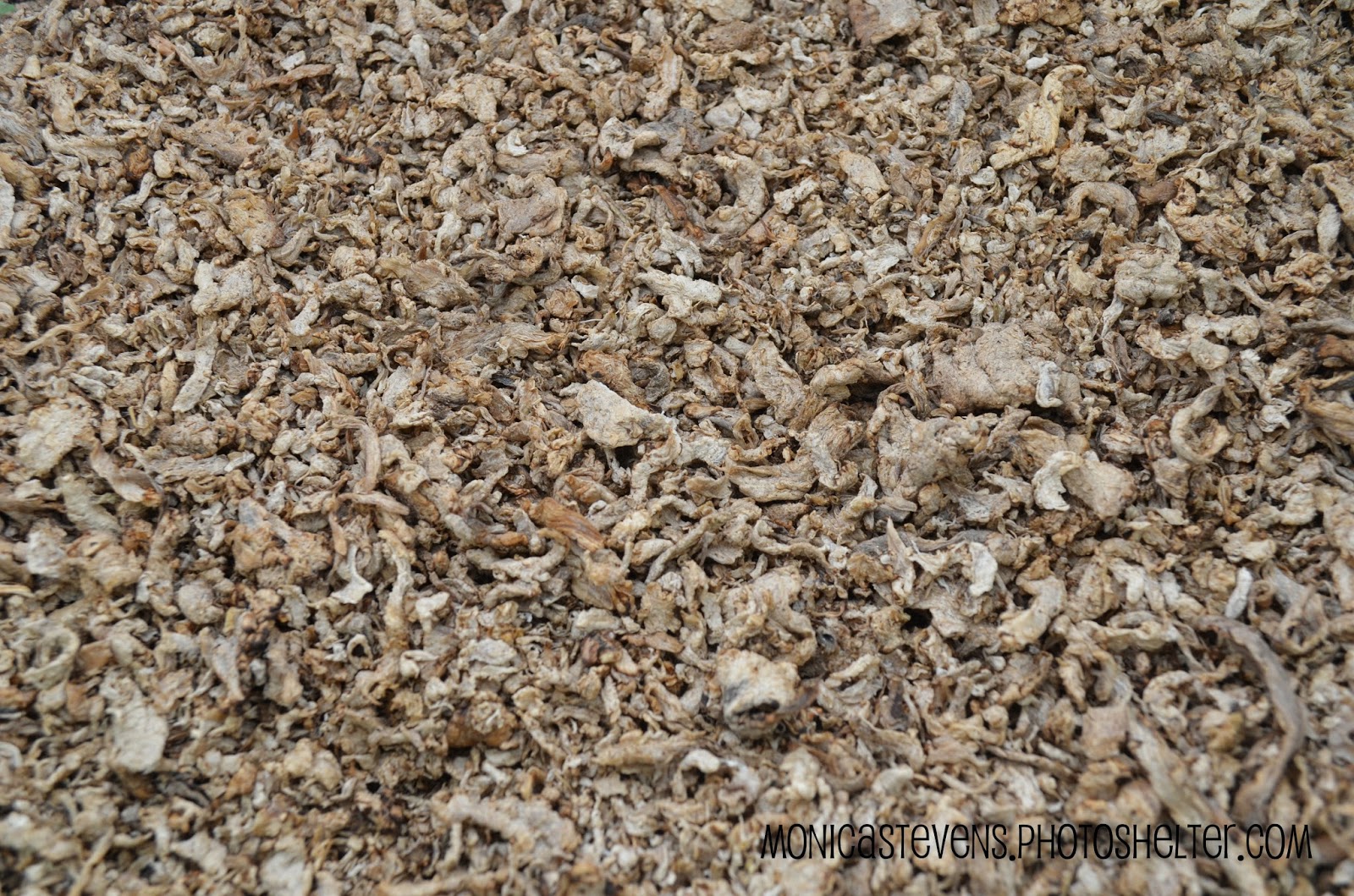 Boots & Heels Beet Pulp