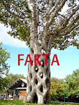 Fakta