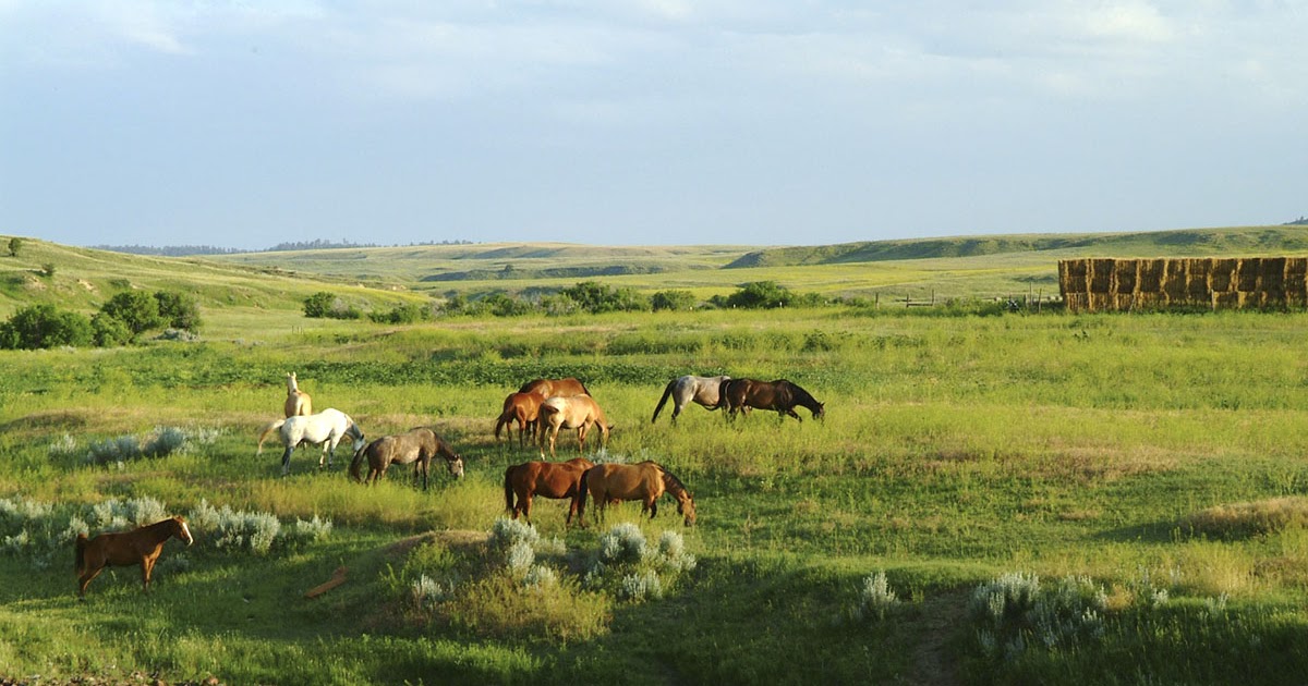 The Matthew's Blog Large Western Ranches for Sale Best Places to Live