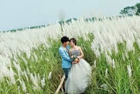 Chụp Ảnh cưới ở bãi cỏ lau Sông Hồng