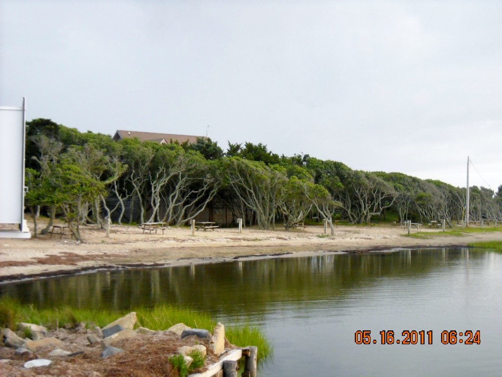 Frisco Woods