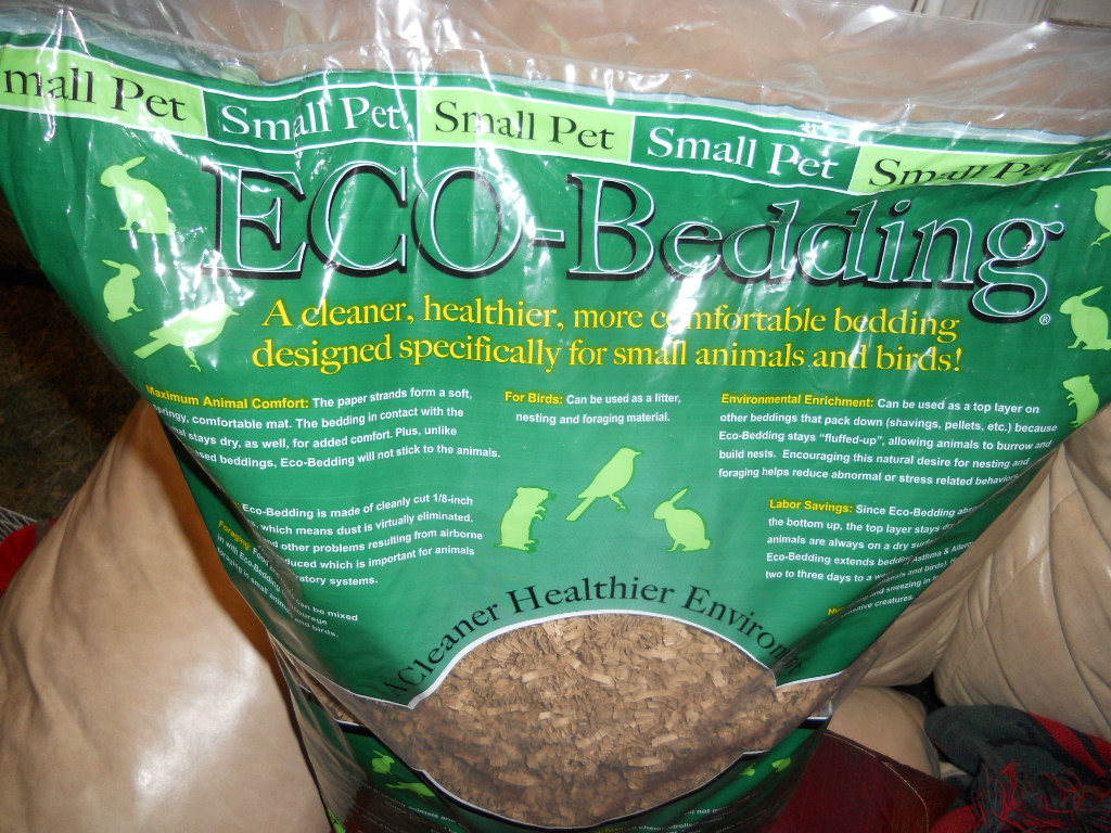 Cavy Savvy A Guinea Pig Blog Review of ECOBedding for Guinea Pigs