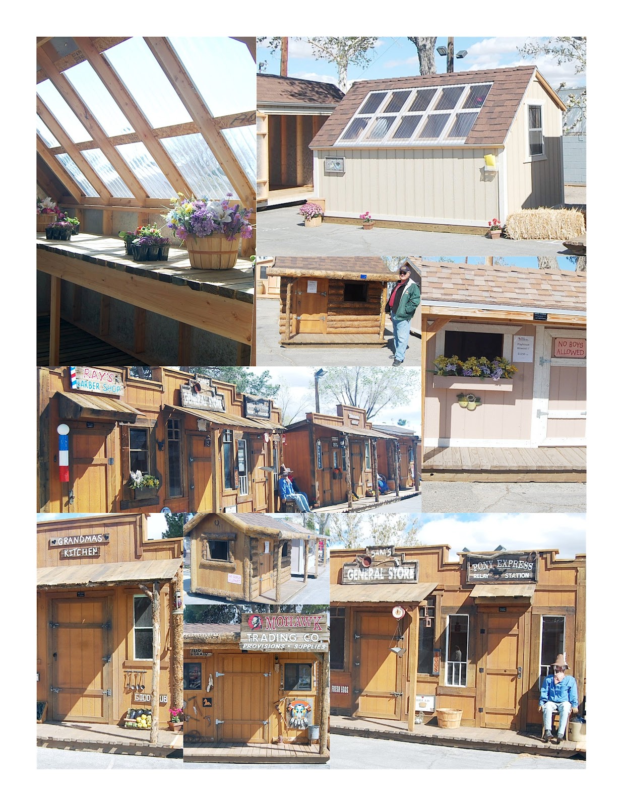 Marti Muses and Marvels High Desert Home Show in Victorville CA
