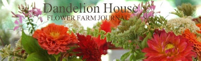 deborah jean's DANDELION HOUSE and GARDEN  