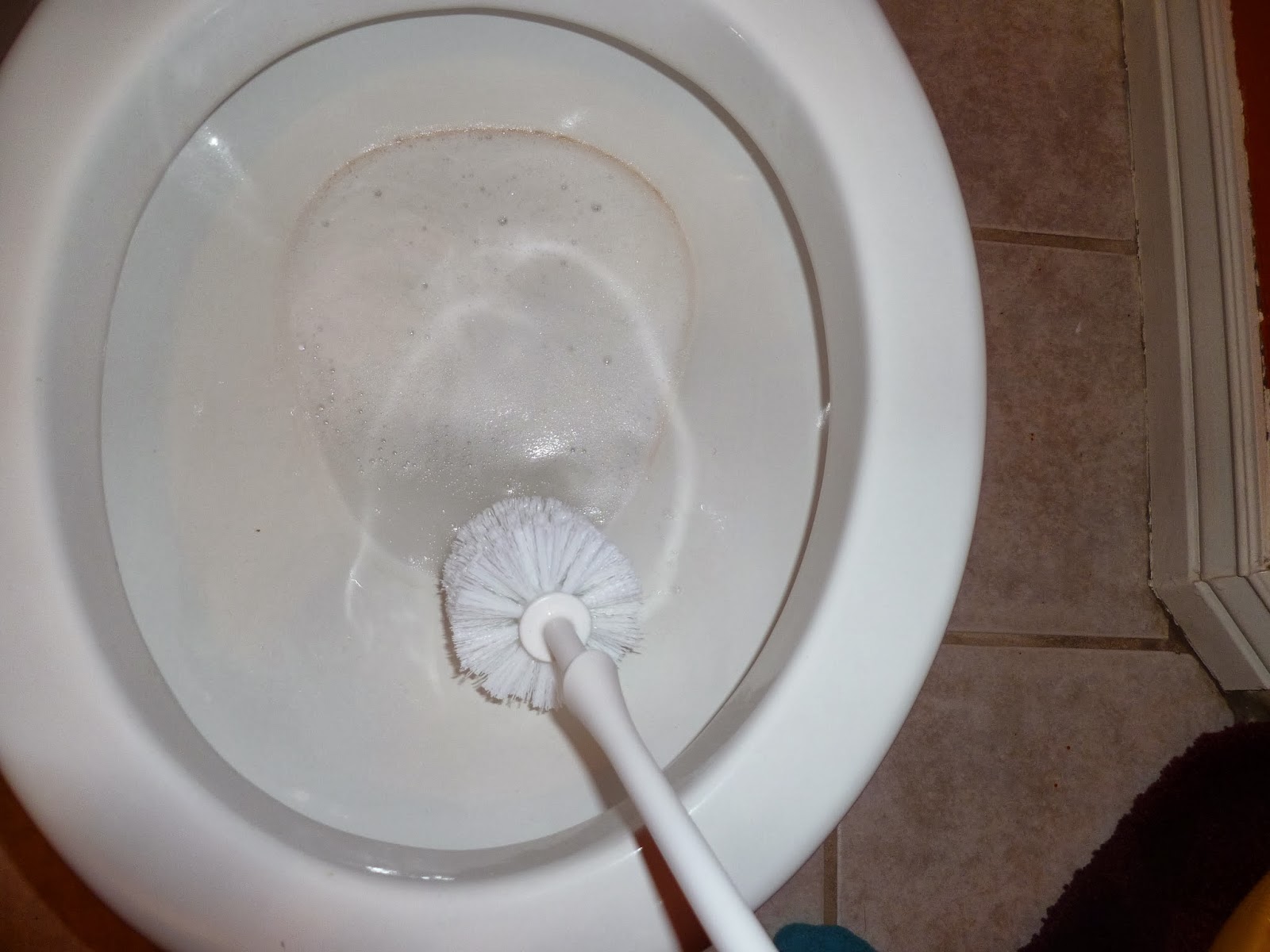 Loving Life Simply Ring Around the Toilet!