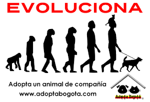 Evoluciona