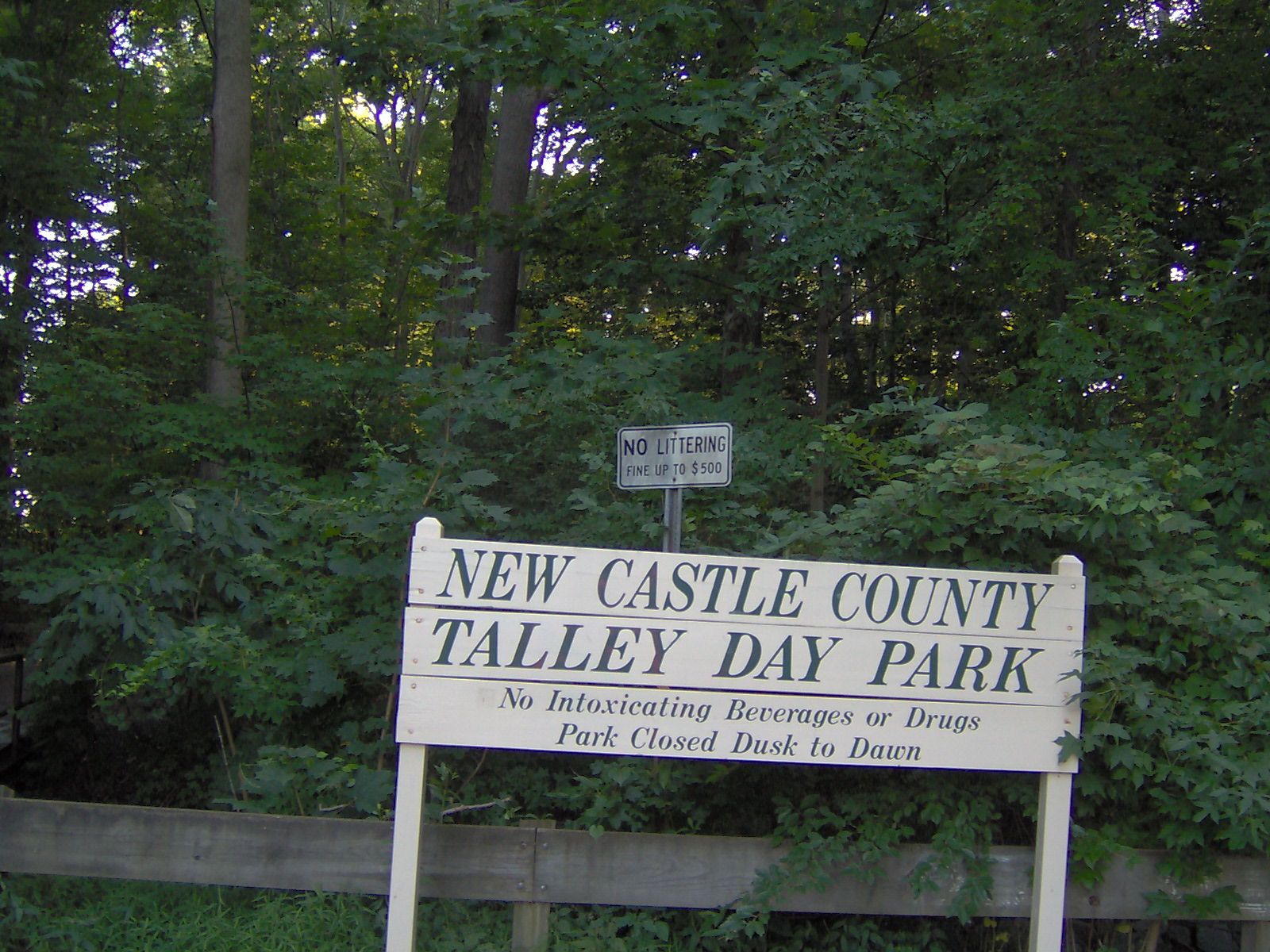 DRINKING OF ELDER MEN August 2011