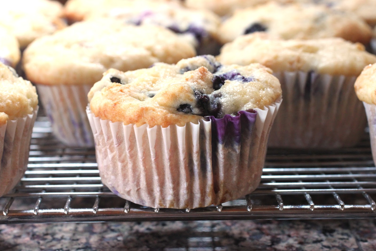 The best blueberry muffin recipe in the world.