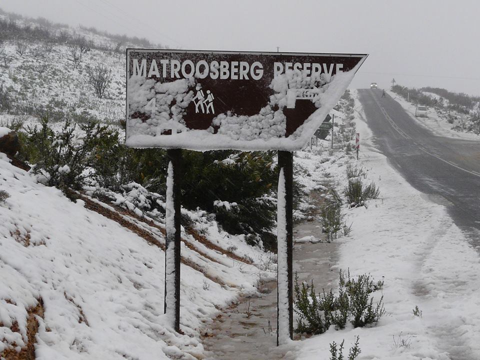 Outoppies Local is Lekker Snow in Cape Town