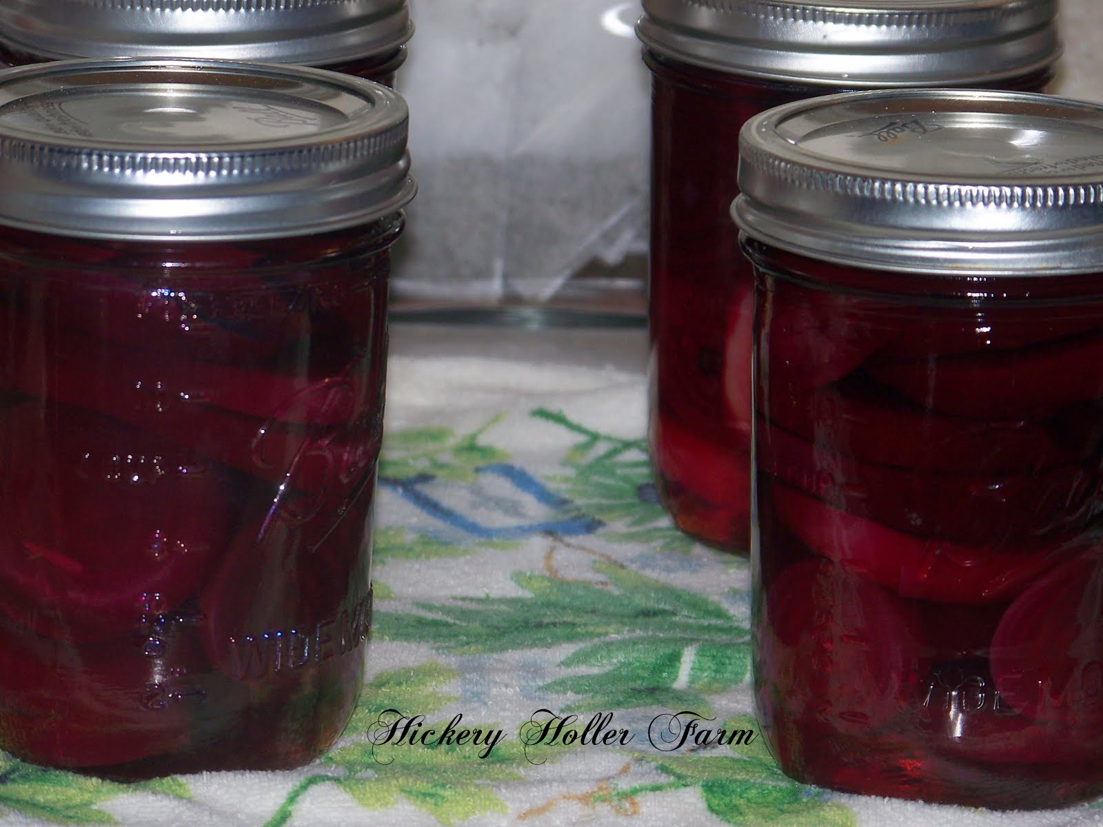 Hickery Holler Farm Pickled Beets