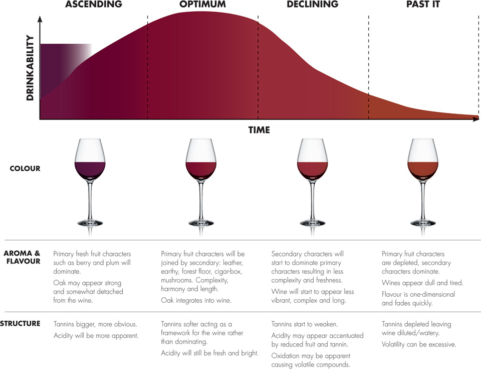 Bar knowledge Wine Mitos dan Fakta