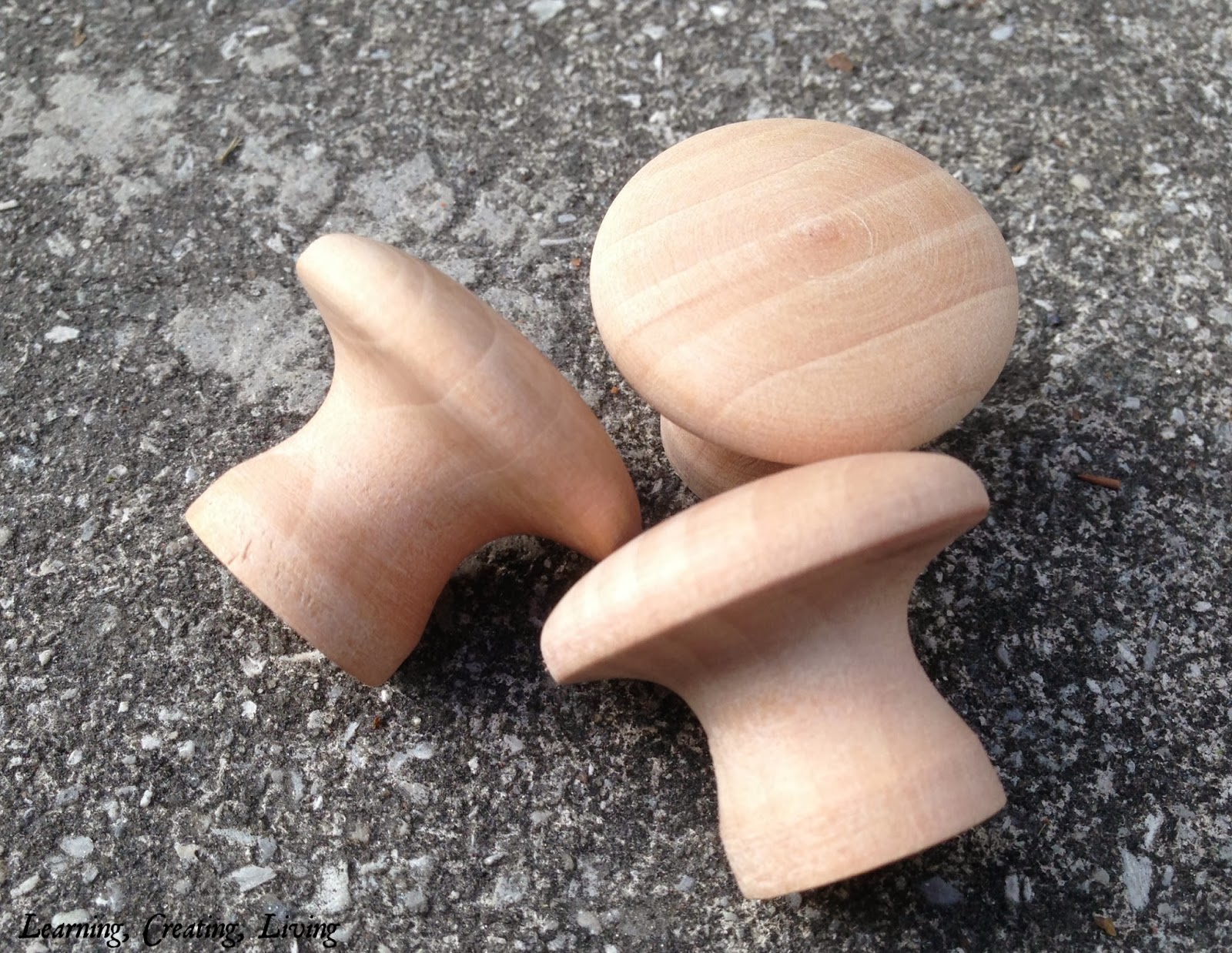 Learning Creating Living Glass Jars With Knobs