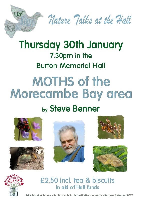 Moths of Morecambe Bay