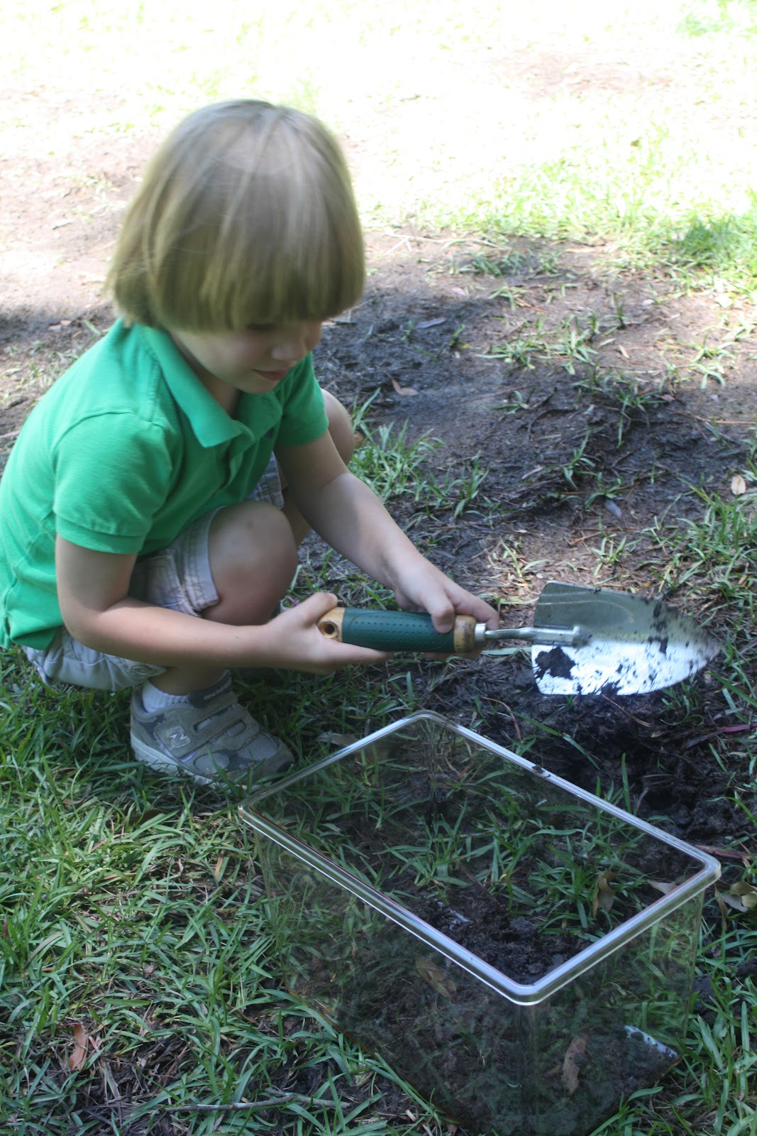 The Pearls of Homeschooling Roly Poly Terrarium