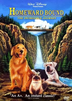 Hành Trình Về Nhà - Homeward Bound: The Incredible Journey (1993) Vietsub Homeward+bound+the+incredible+journey+(1993)_Phimvang.Org