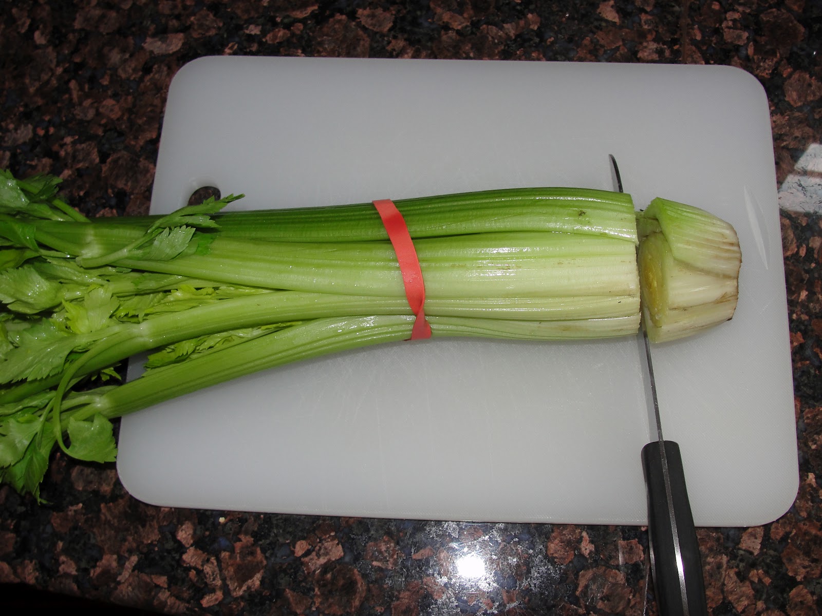 Lessons from the Garden Reversing the Process Growing Celery From Celery
