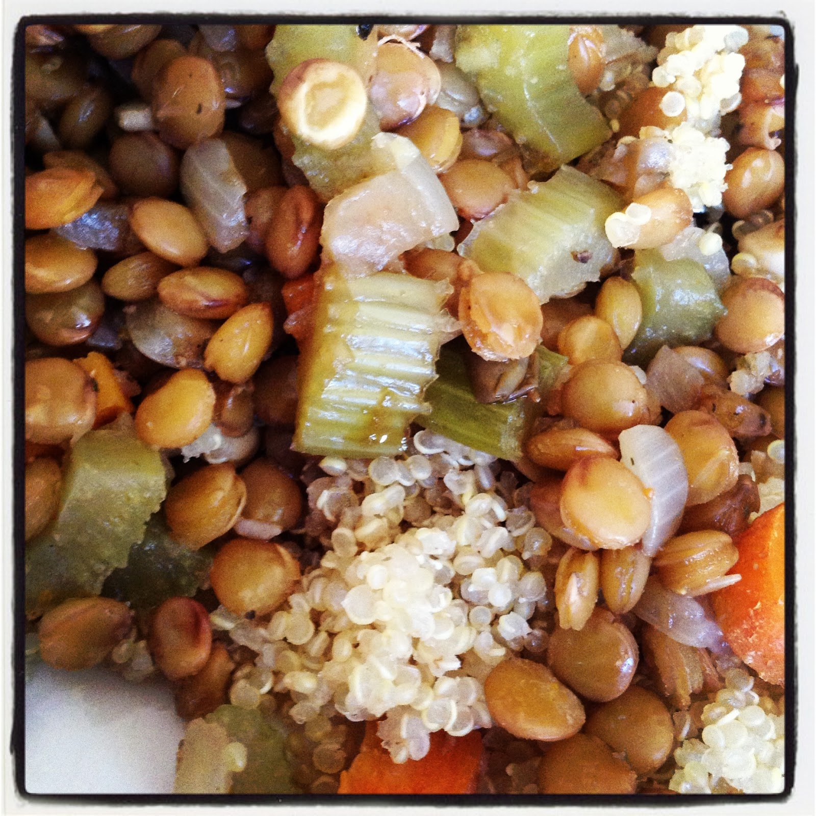 Go Plant Yourself!! Protein Packed Lentils & Quinoa
