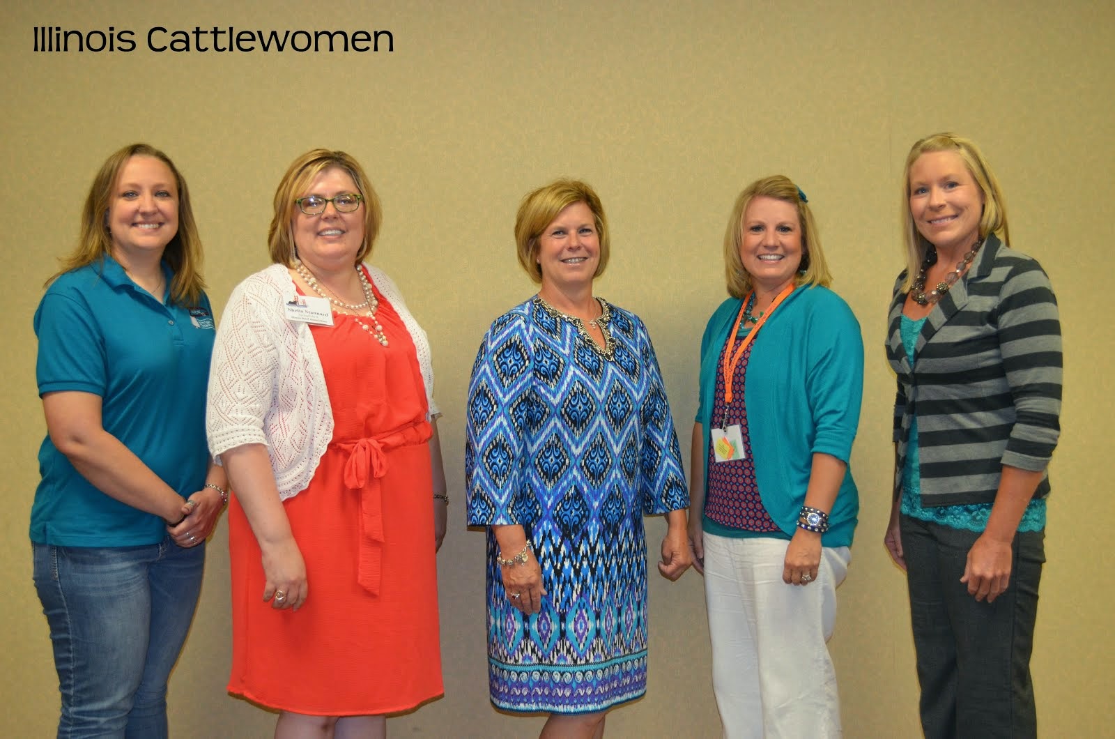 2014 Illinois Cattlewomen Board