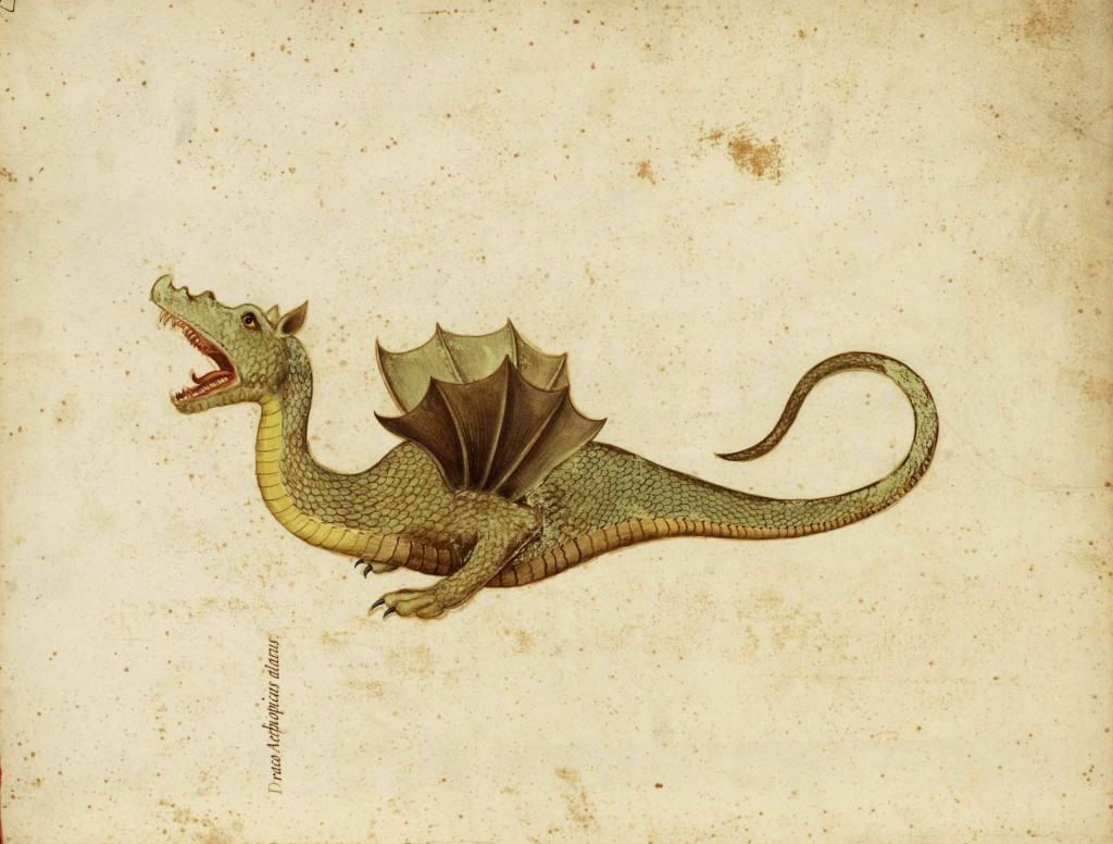 позор на мою голову 