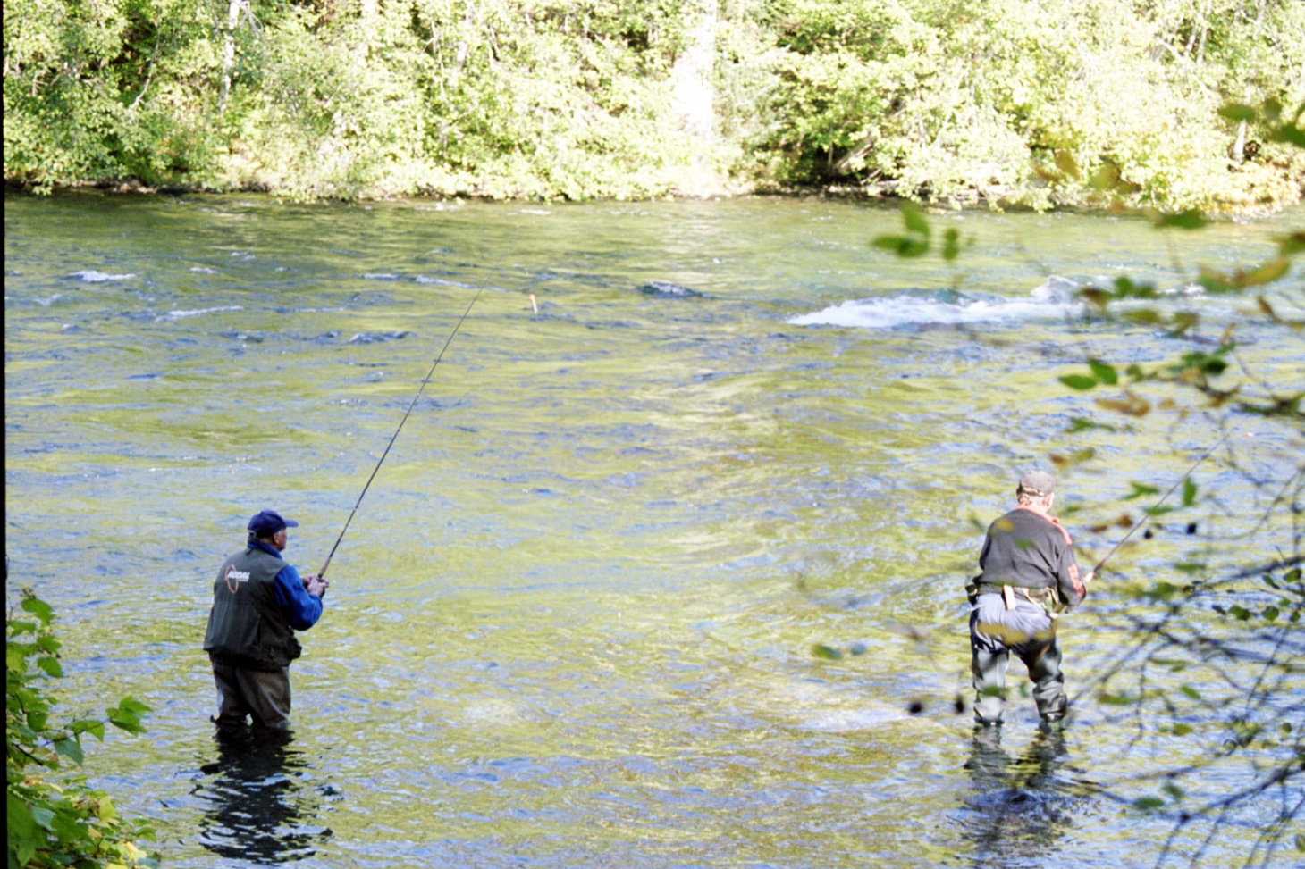 BC Oceanfront River Fishing Vancouver Island