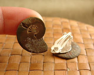 clip on ammonite fossil earrings by shore debris