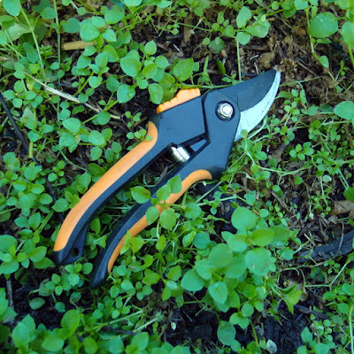 eight acres: power tools in the garden?