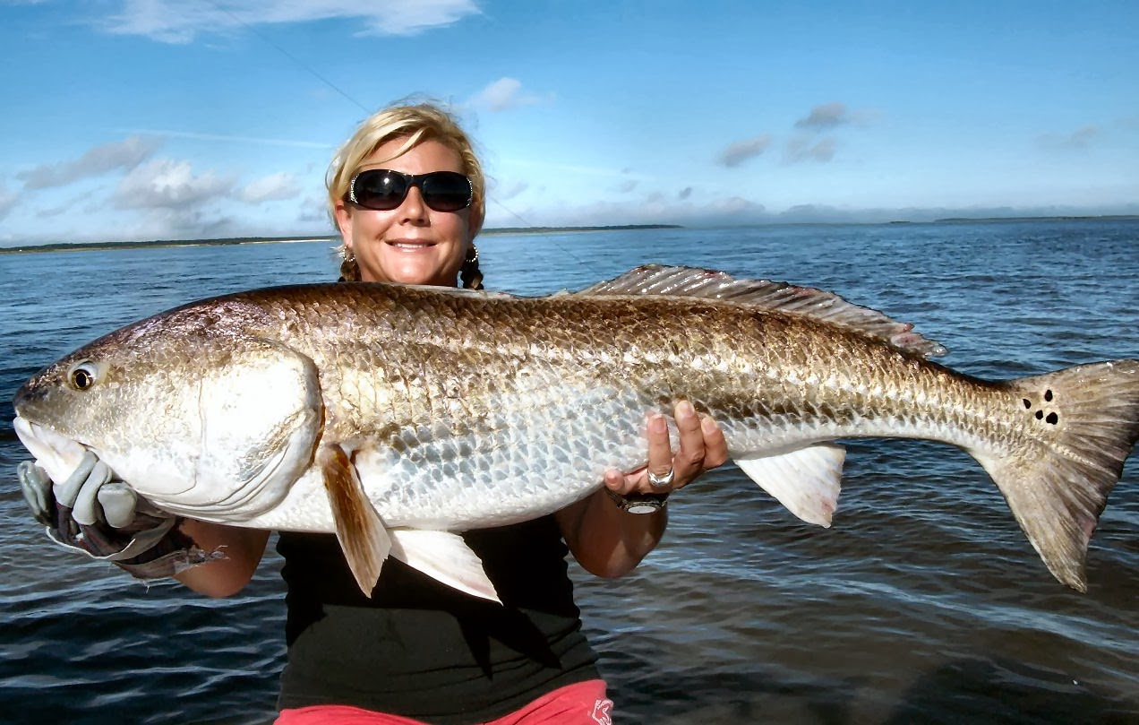Catching Redfish in Coastal Fishing in Coastal