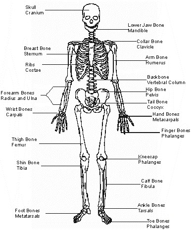 Resume of Science 4 | GuruKita.com