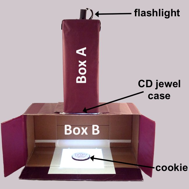 Sugarfox: A DIY drawing projector for decorating cookies