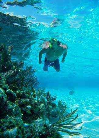 Tips and Snorkeling Places