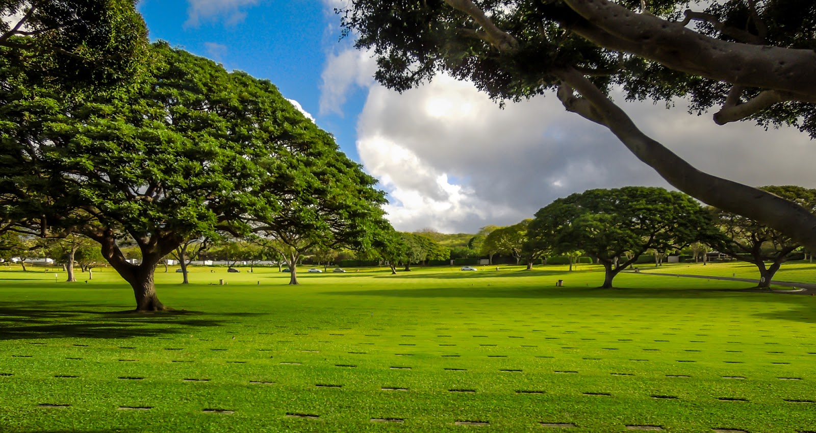 The Whodunit Photographer The Punchbowl
