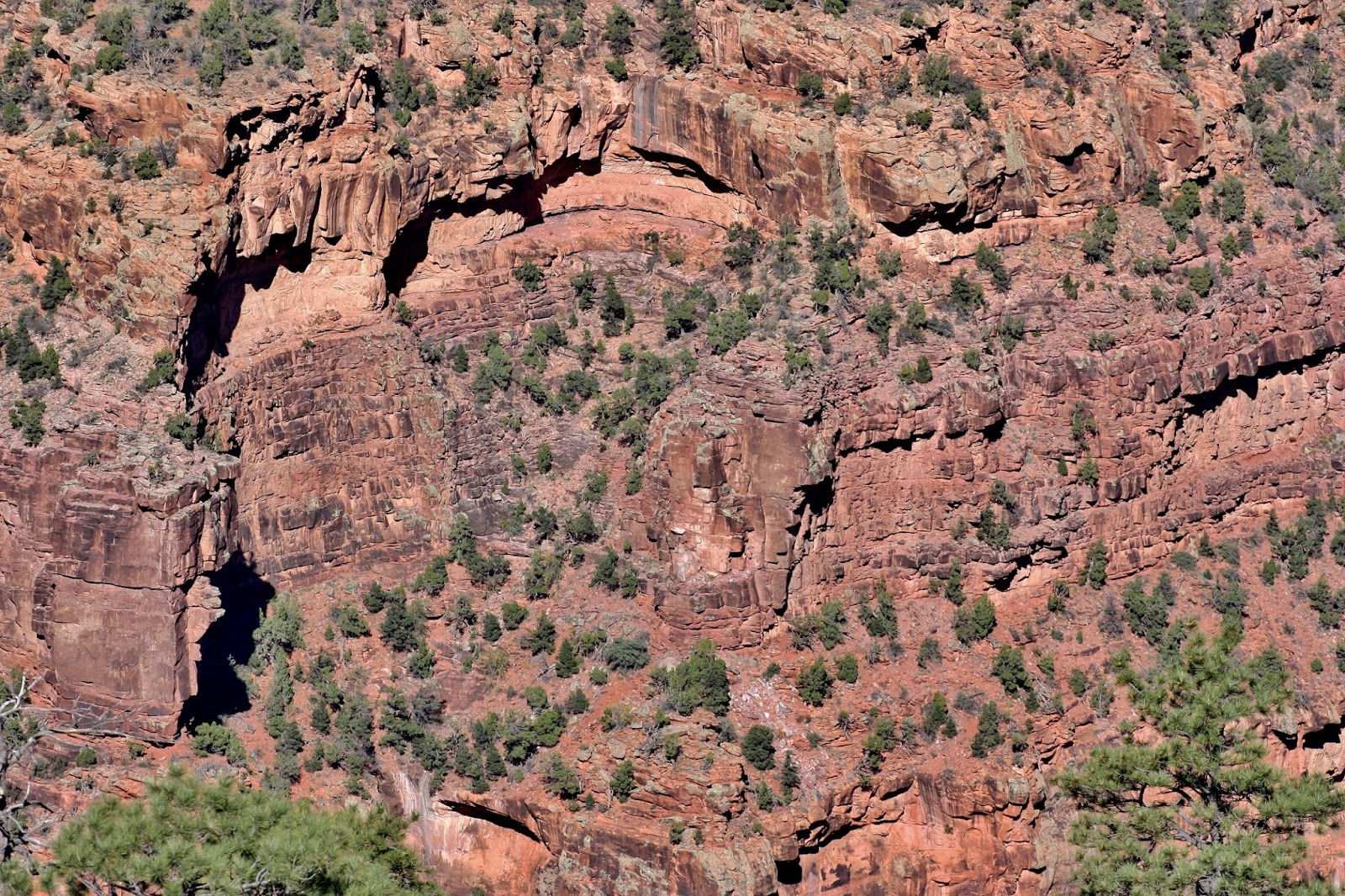 The Southwest Through Wide Brown Eyes Dolores Canyon Overlook via Dove