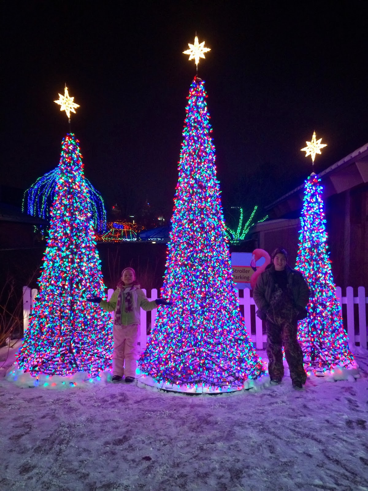 Stacy Tilton Reviews Christmas At The Indianapolis Zoo ISMMCATZ