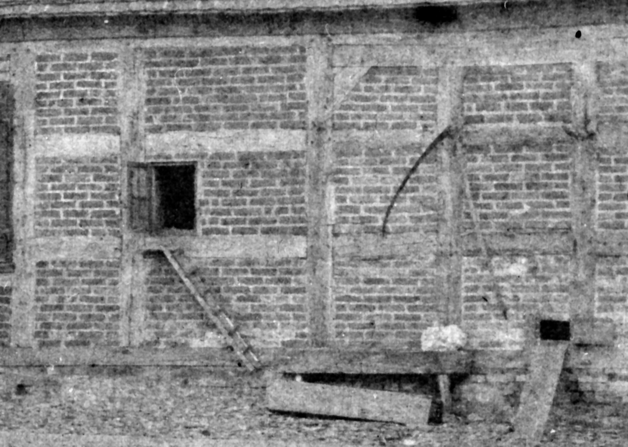 Huehnerleiterwelten September 2011