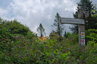 Herzberg La Esperanto Urbo Feldmark Bei Herzberg Im Herbst