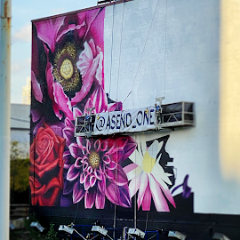 @asend_one graffiti artist Carnival mural in process.